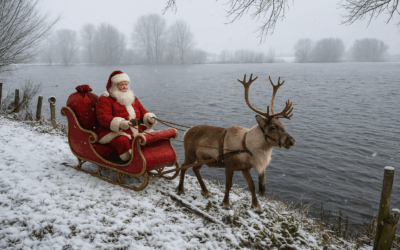 Wir wünschen schöne Weihnachtstage und einen gesunden Rutsch in das neue Jahr!
